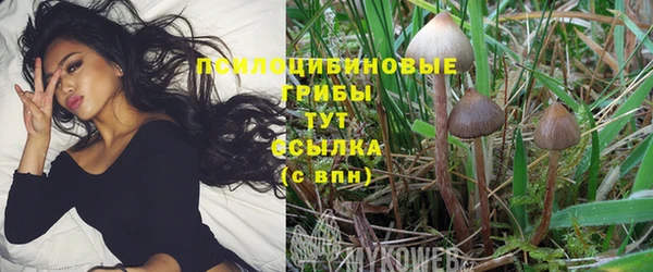 сатива Белоозёрский